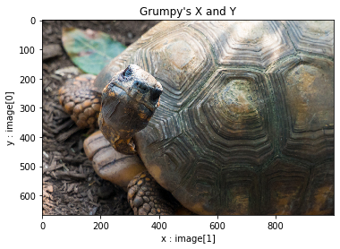 Grump the tortoise's X and Y axis and numpy array dimensions